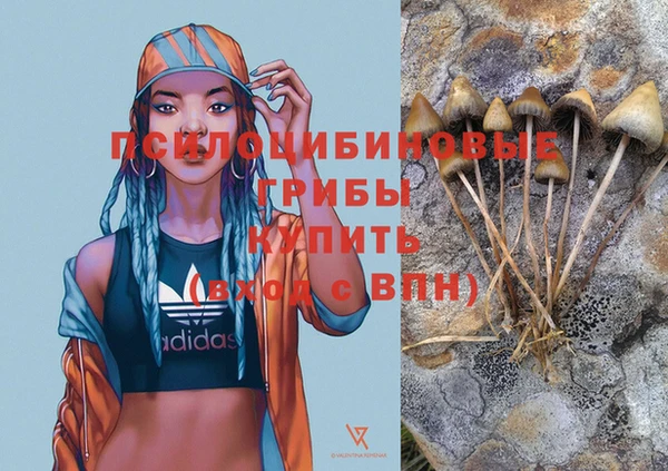 mdpv Остров