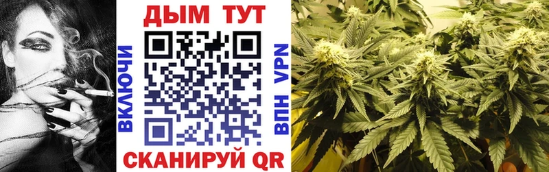 MEGA как зайти  Спасск  Конопля Amnesia 
